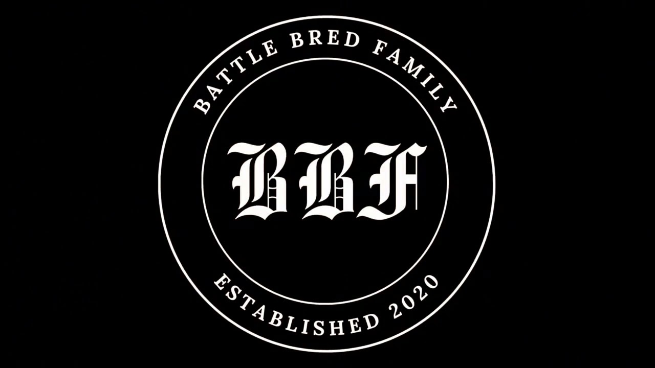 BBF CERTIFIED!!!THE OLDE BOSTON BULLDOGGE RUTANS REBEL!!! OWNED BY ALEX SANTIAGO AT K9 OBSESSIONS!!!