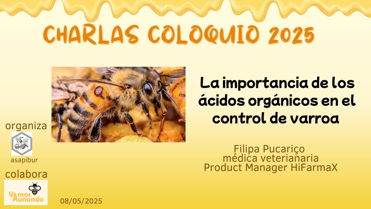 La importancia de los ácidos orgánicos en el control de varroa (Filipa Pucariço)