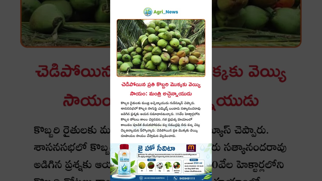 చెడిపోయిన ప్రతి కొబ్బరి మొక్కకు వెయ్యి సాయం #telugu #agriculture #viralvideo