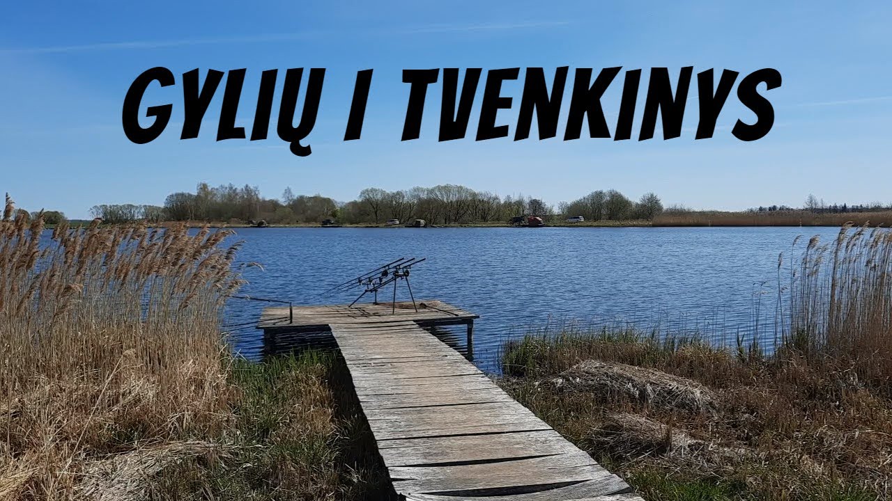 Gylių I tvenkinys (Carp Lake)