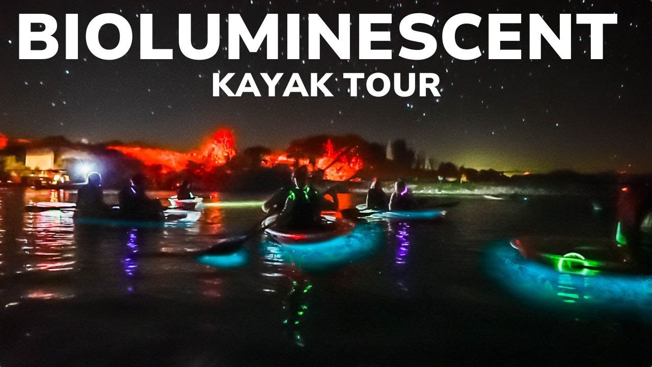 Witness the Bioluminescent Waters in Titusville, Florida!