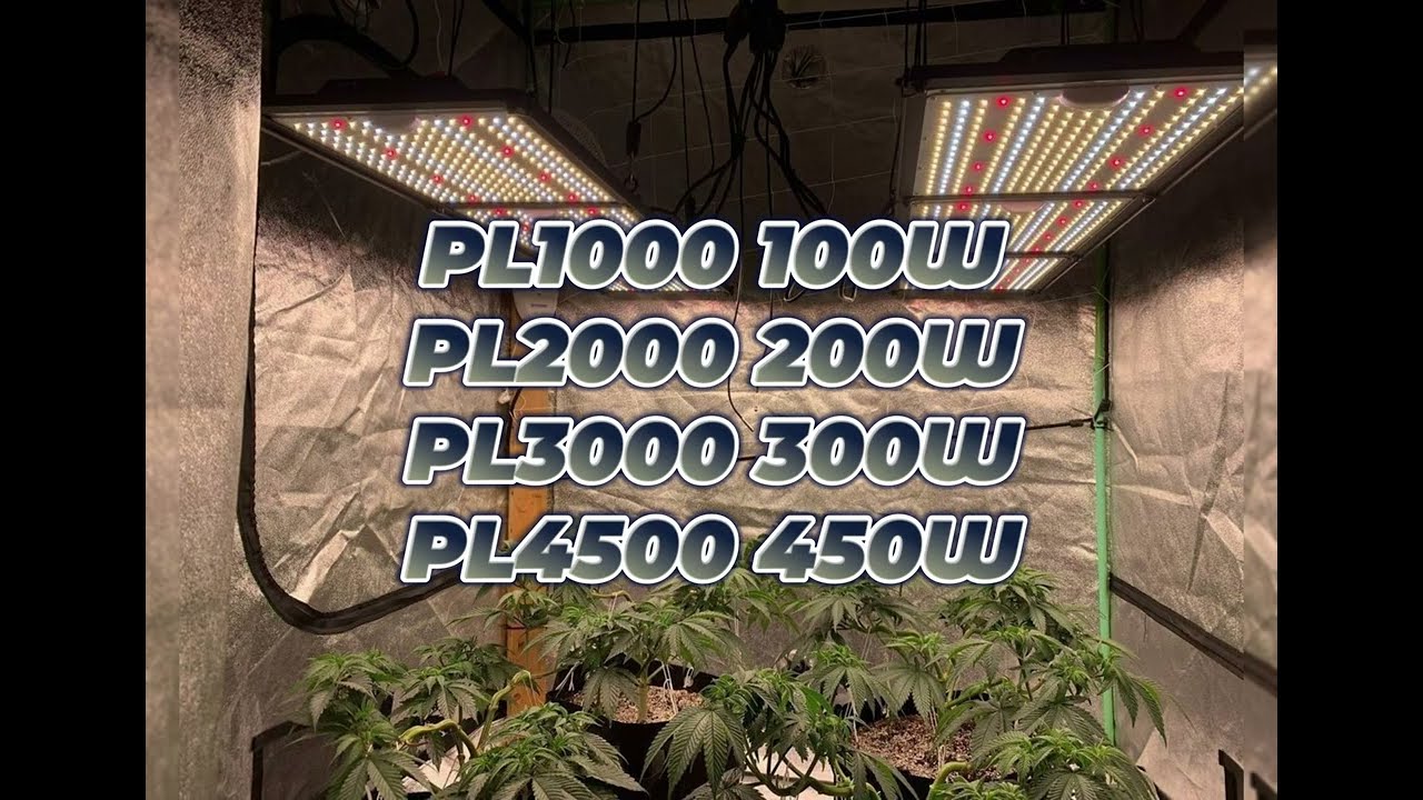 Phlizon PL1000 100W, PL2000 200W, PL3000 300W, PL4500 450W Full-spectrum LED Grow Light