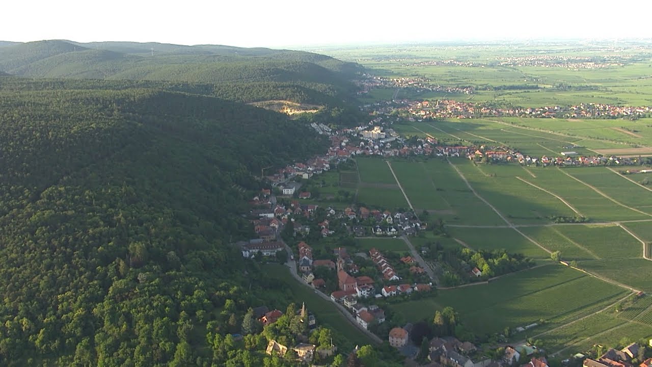 Explore Wines of Germany: Pfalz