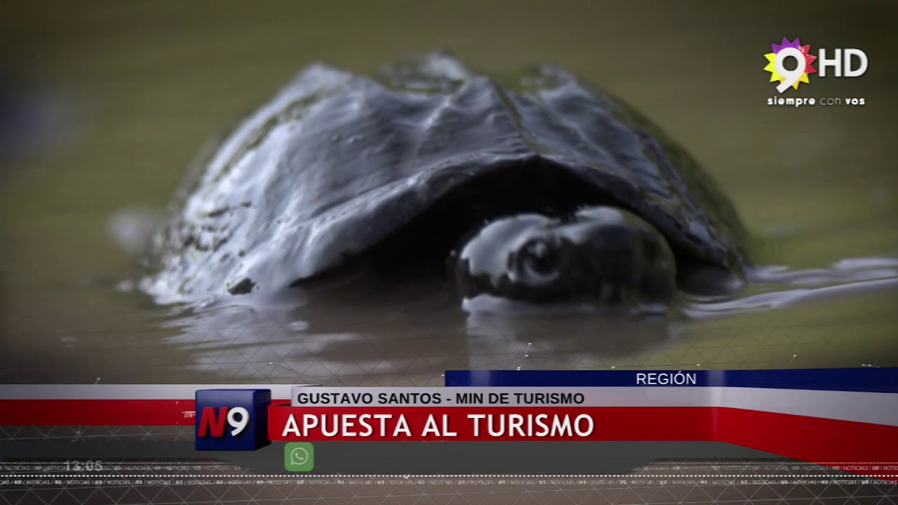 APUESTA AL TURISMO #9LINK