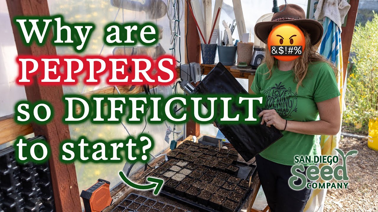 Summer Seed Starting Issues? How I Use Heat Mats for FASTER & BETTER Pepper Germination + Giveaway