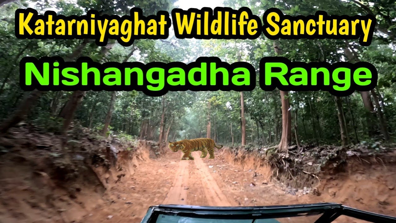Katarniya Wildlife Sanctuary ki jangle safari