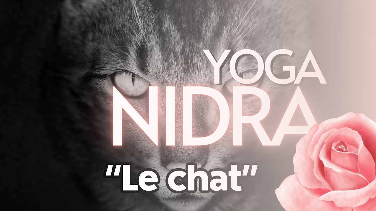 MÉDITATION YOGA NIDRA: Voyage Intérieur 💤