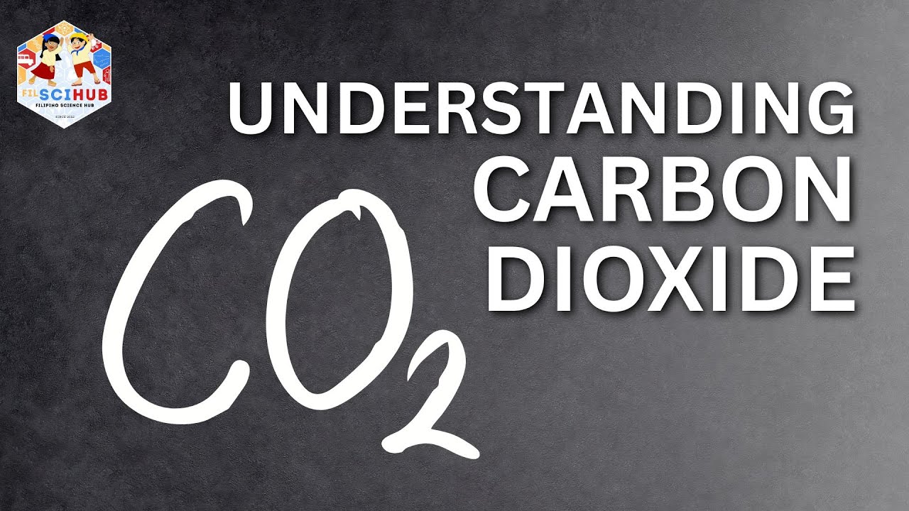 Understanding Carbon Dioxide: Molecular Structure, Properties & Environmental Impact