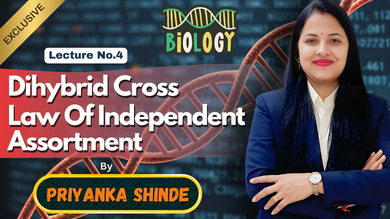 Dihybrid Cross & Law of Independent Assortment | Class 12 Biology | Mendelian Genetics | JEENEET