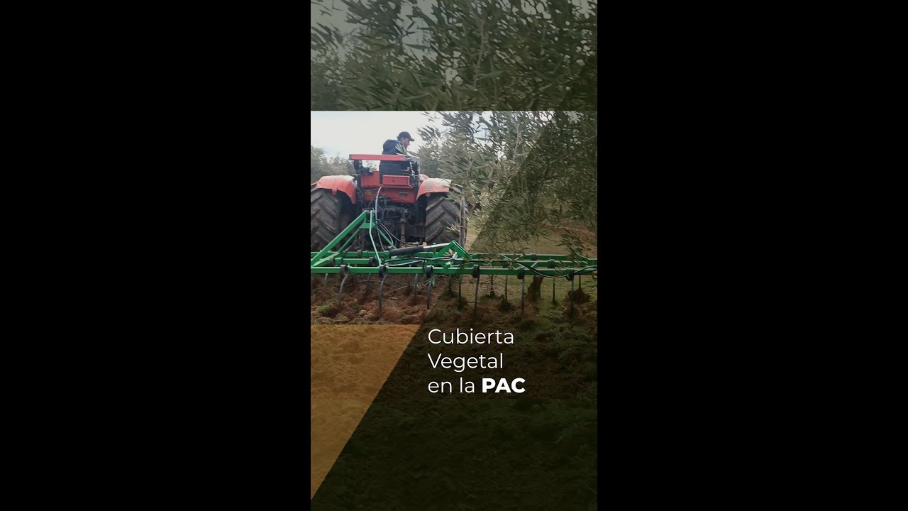 CUBIERTA VEGETAL EN LA PAC