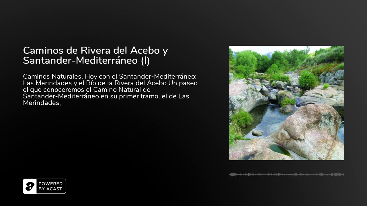 Caminos de Rivera del Acebo y Santander-Mediterr&aacute;neo (I)
