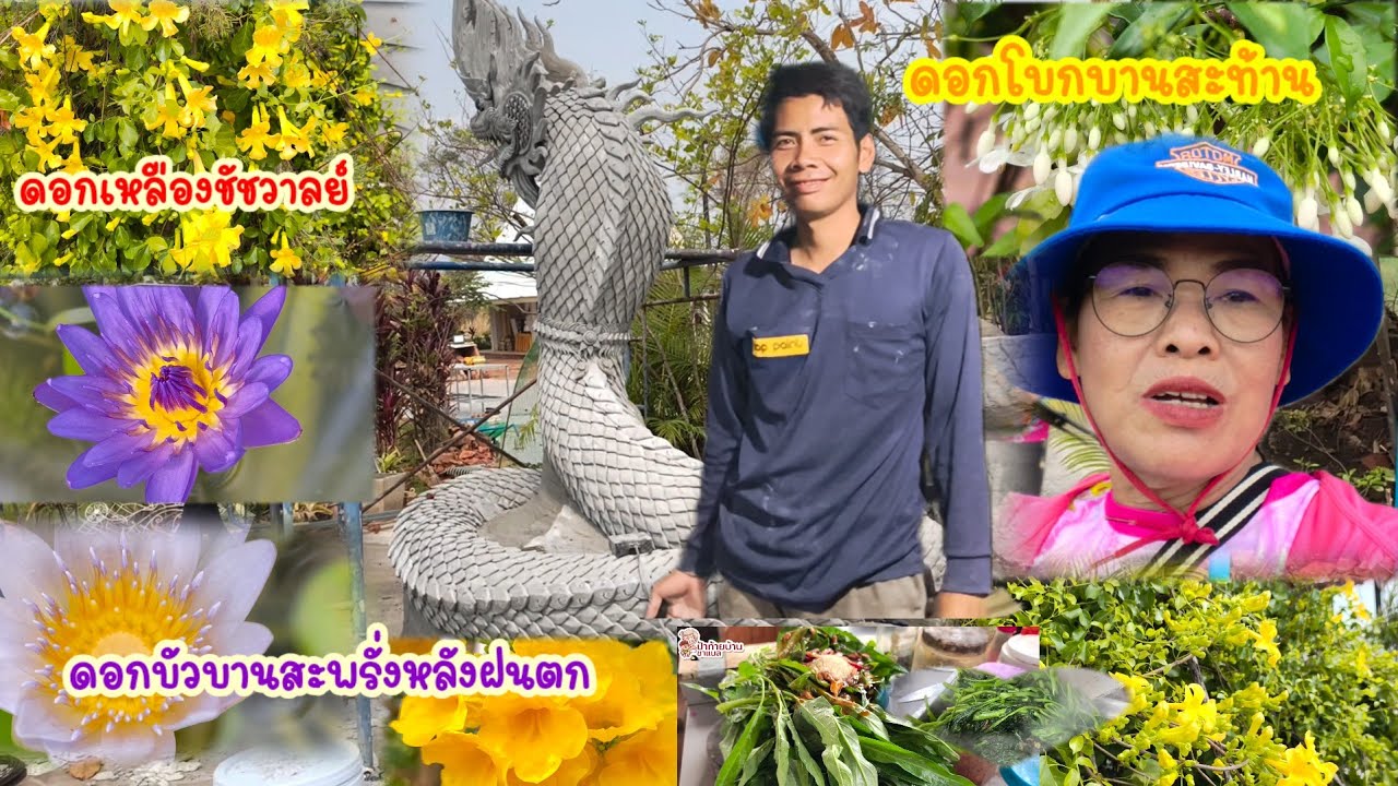 ทำเมนูที่ถนัด บรรยากาศหลังฝนตกดอกไม้บานสะพรั่งแม่ย่ายังสวย
