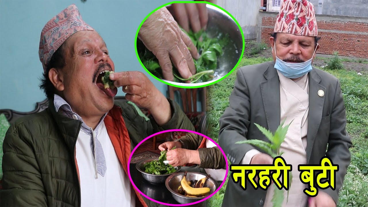 के हो नरहरी बुटी ? कसरि सेवन गर्ने ? प्रेम कैदीले सुनाए नरहरी बुटीका फाईदा #PREM_KAIDI #NARHARI_BUTI