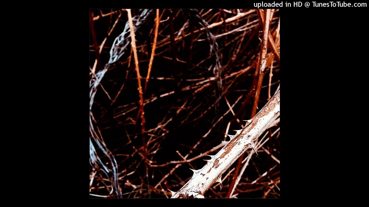 Krigstj&oslash;rn - Liv, D&oslash;d Og Mellemvejen