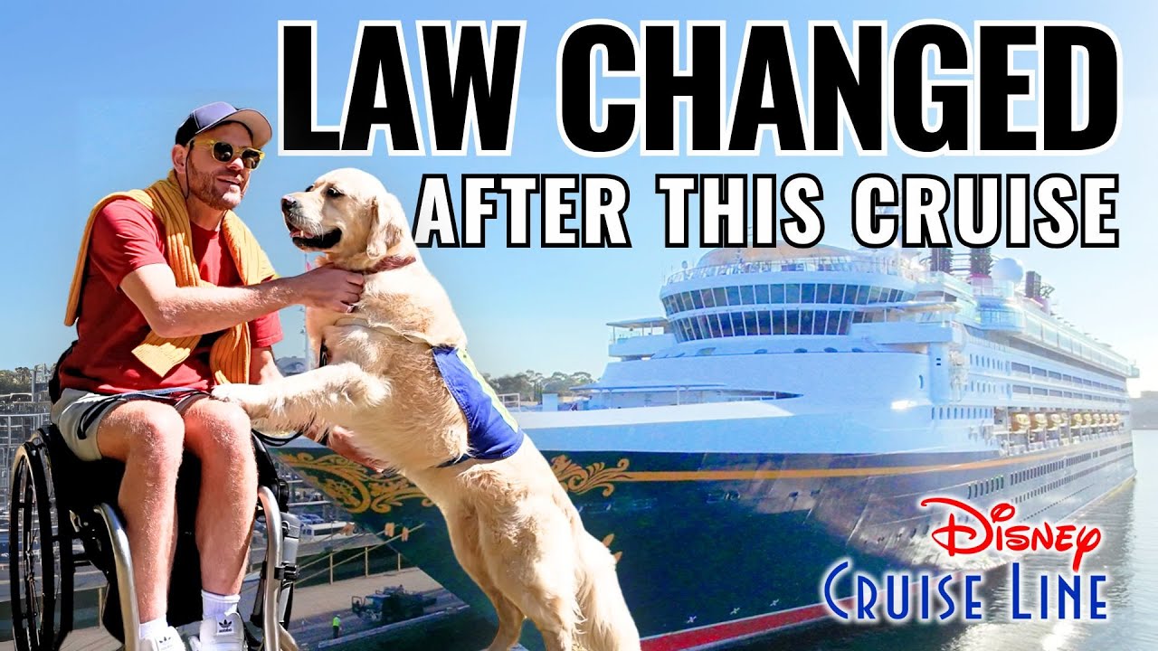 This Disney cruise was meant to be a break… but it ended up sparking something much bigger.