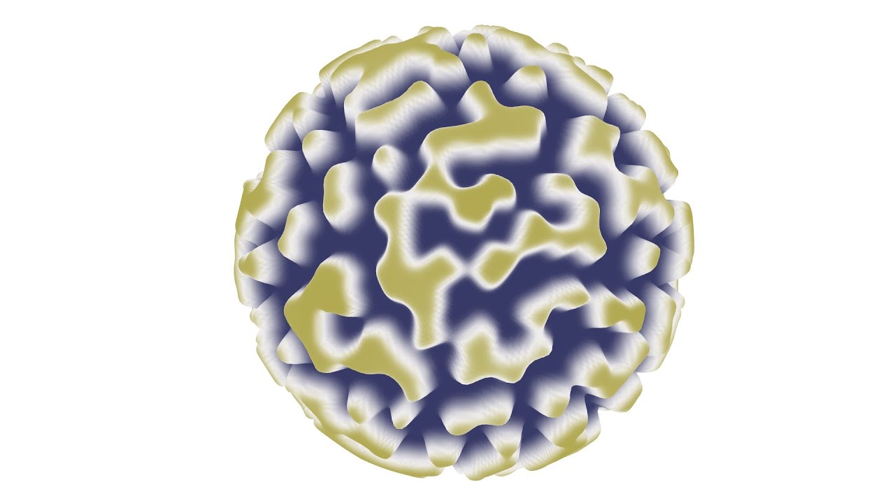Grasshopper / Reaction Diffusion / 3D Texture