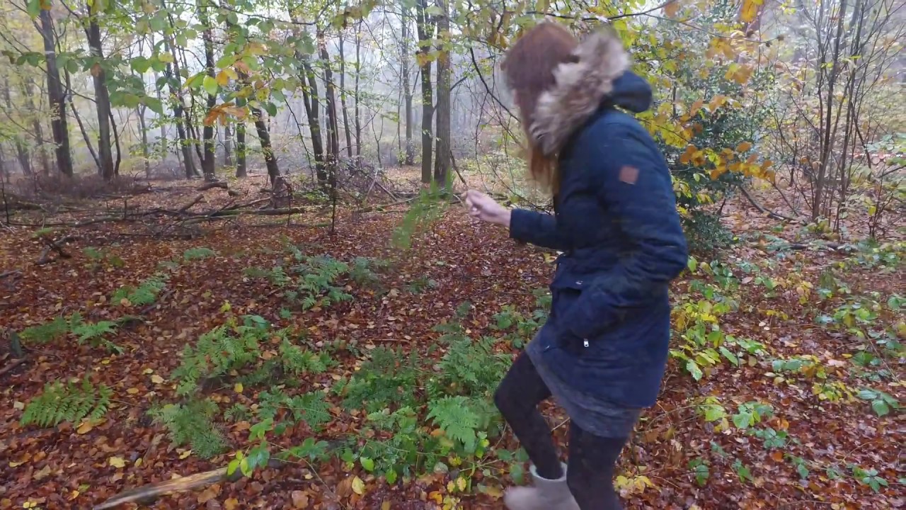 Boswandeling 4k DJI Osmo