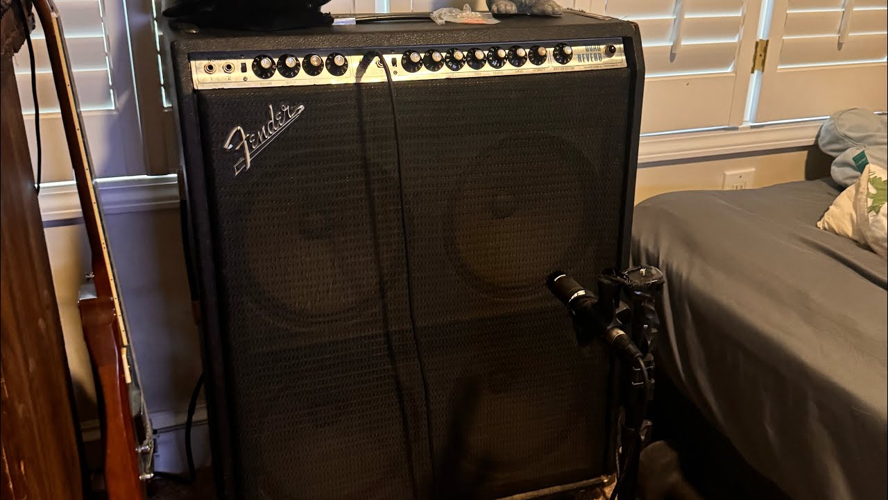 Milk it Nirvana guitar cover with 1972 Quad Reverb