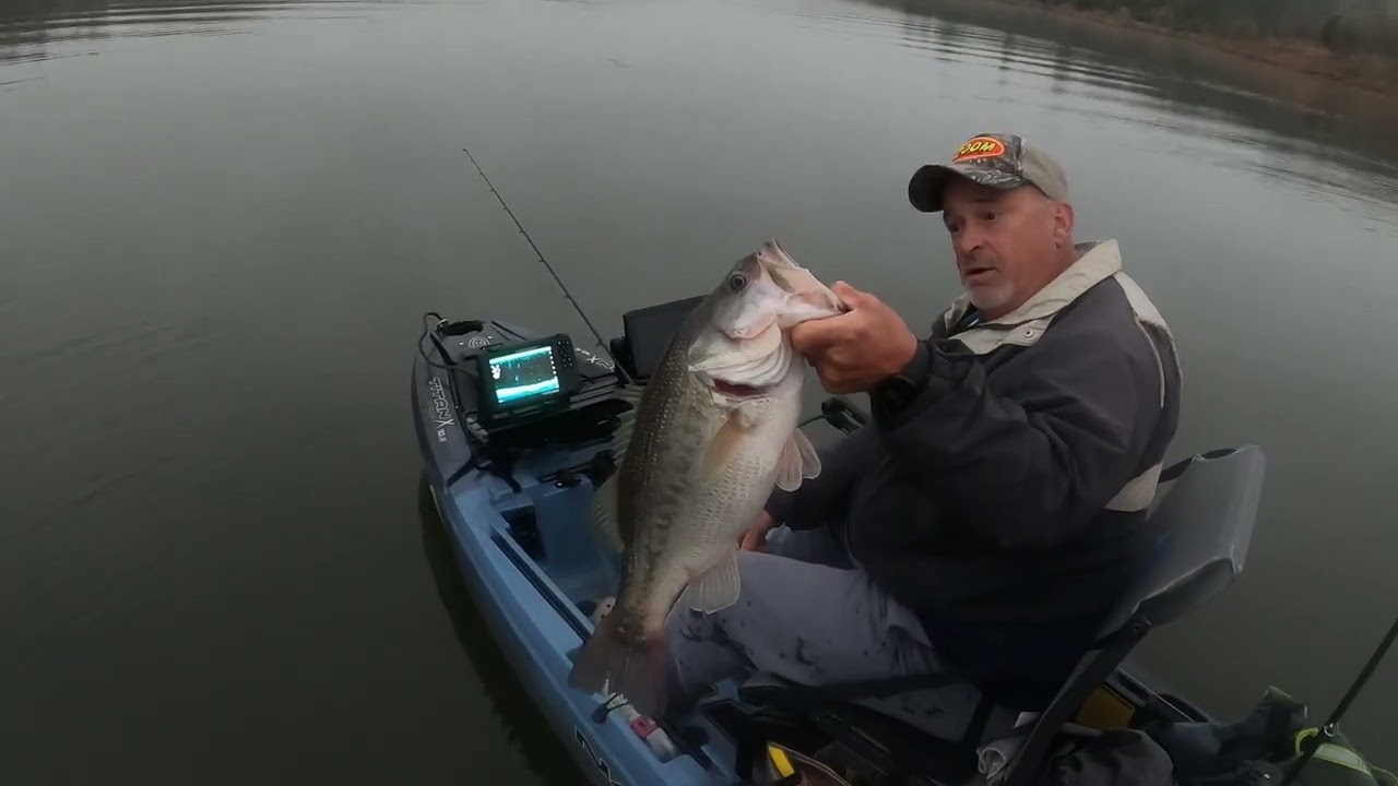 Big bass