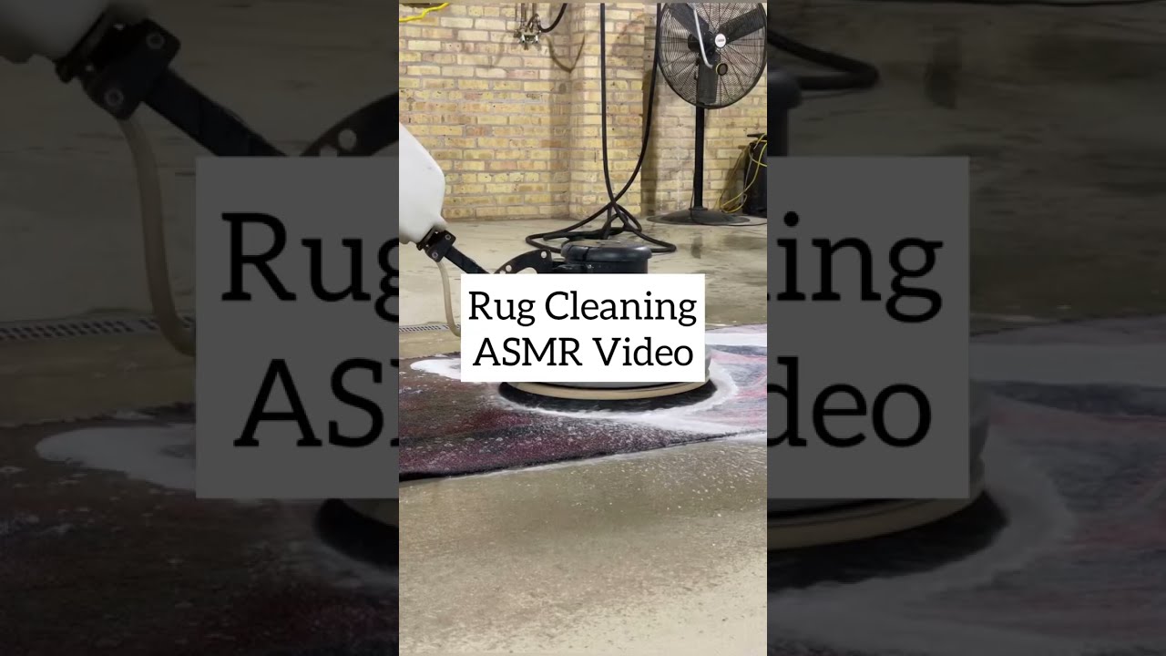 Short Video on Rug Cleaning - Rouzati Rugs #asmr #rugcleaning #oddlysatisfying