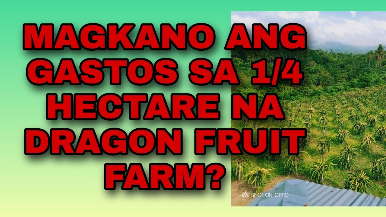 MAGKANO ANG EXPENSES SA 1/4 H.A. NA D.F.  FARM? (w/ step by step costings & guide)