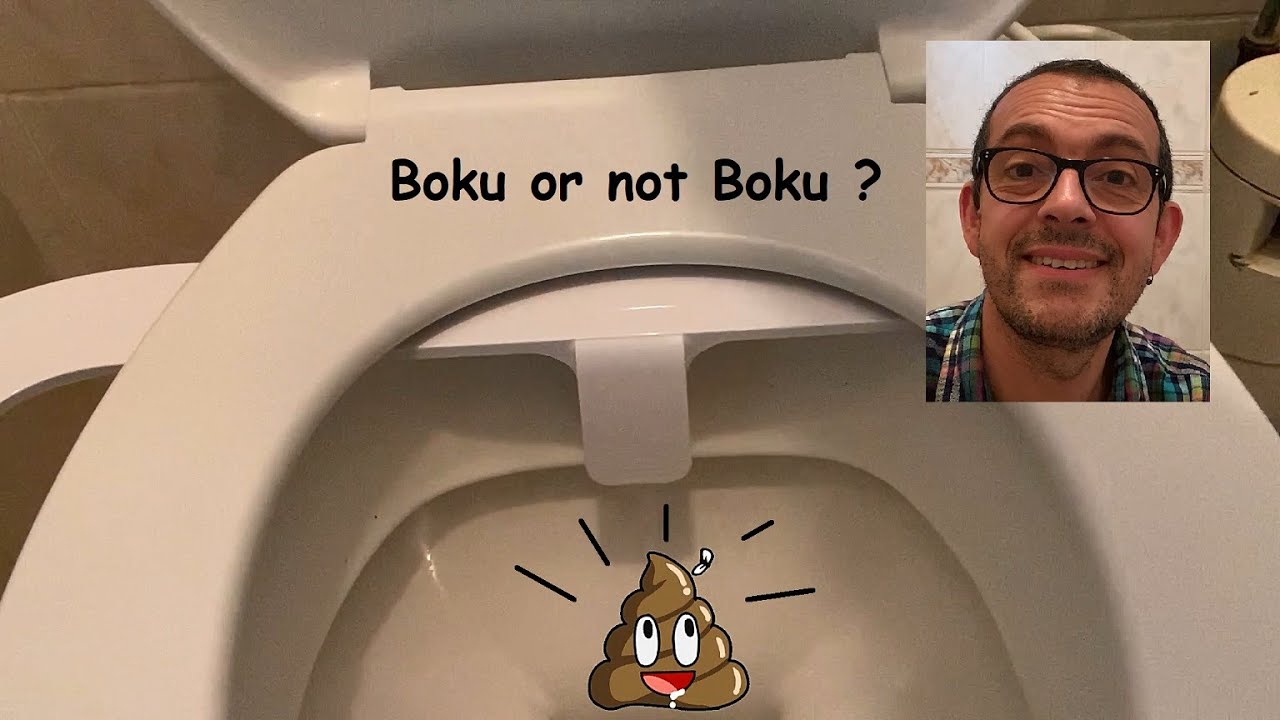 Toilettes Boku,  mon avis après un mois