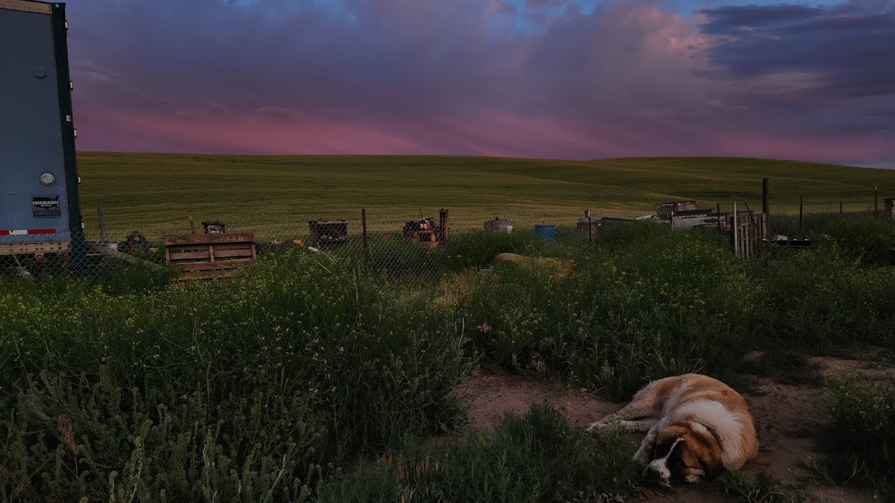 The big move part 3: Return of the Machinist