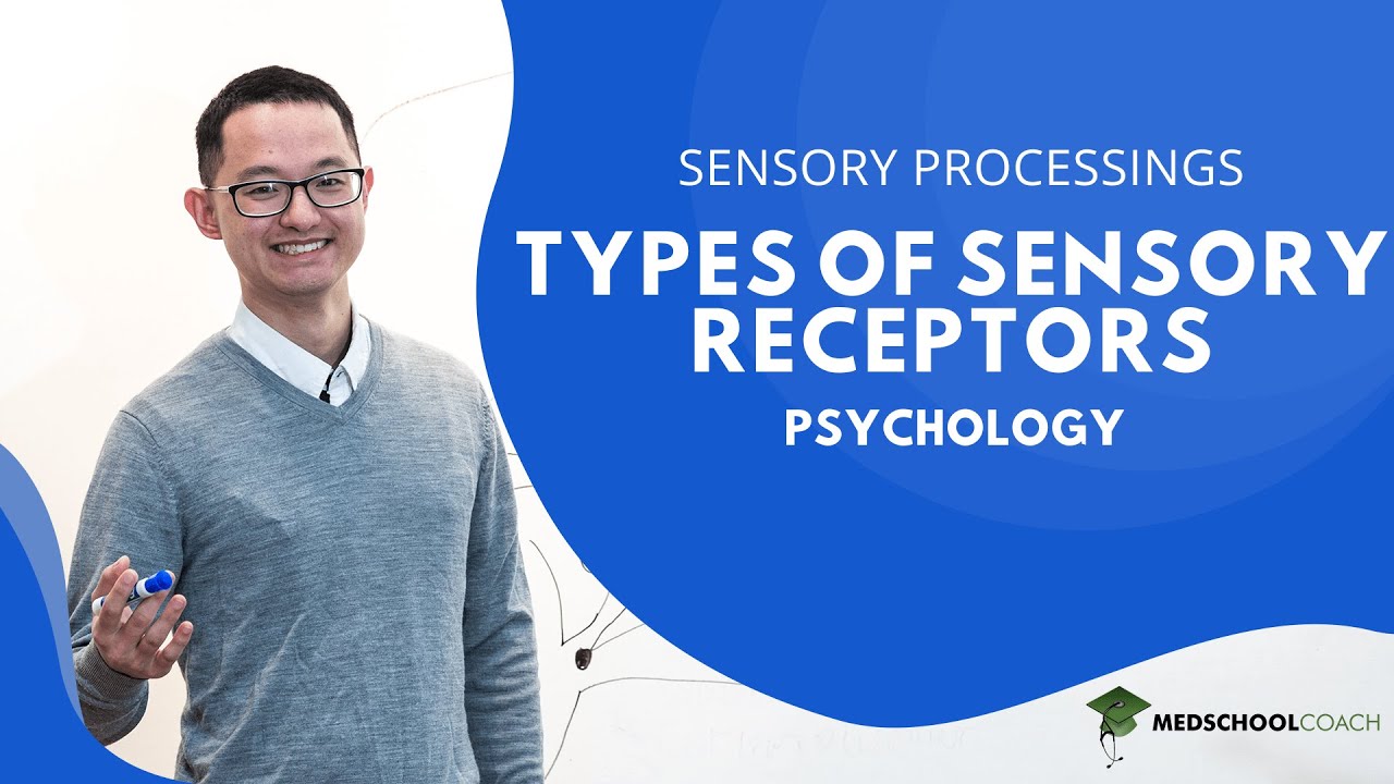 Types of Sensory Receptors