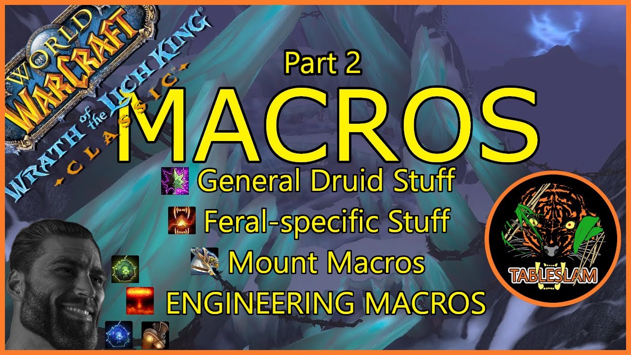 Go GIGA With These Macro Tips | FERAL DRUID WORKSHOP | WRATH CLASSIC