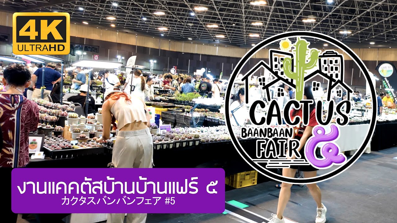 งานแคคตัสบ้านบ้านแฟร์ ครั้งที่ ๕ Cactus Baanbaan Fair #5 2024 Thailand カクタスバンバン展 第5回 バンコク タイ 2567
