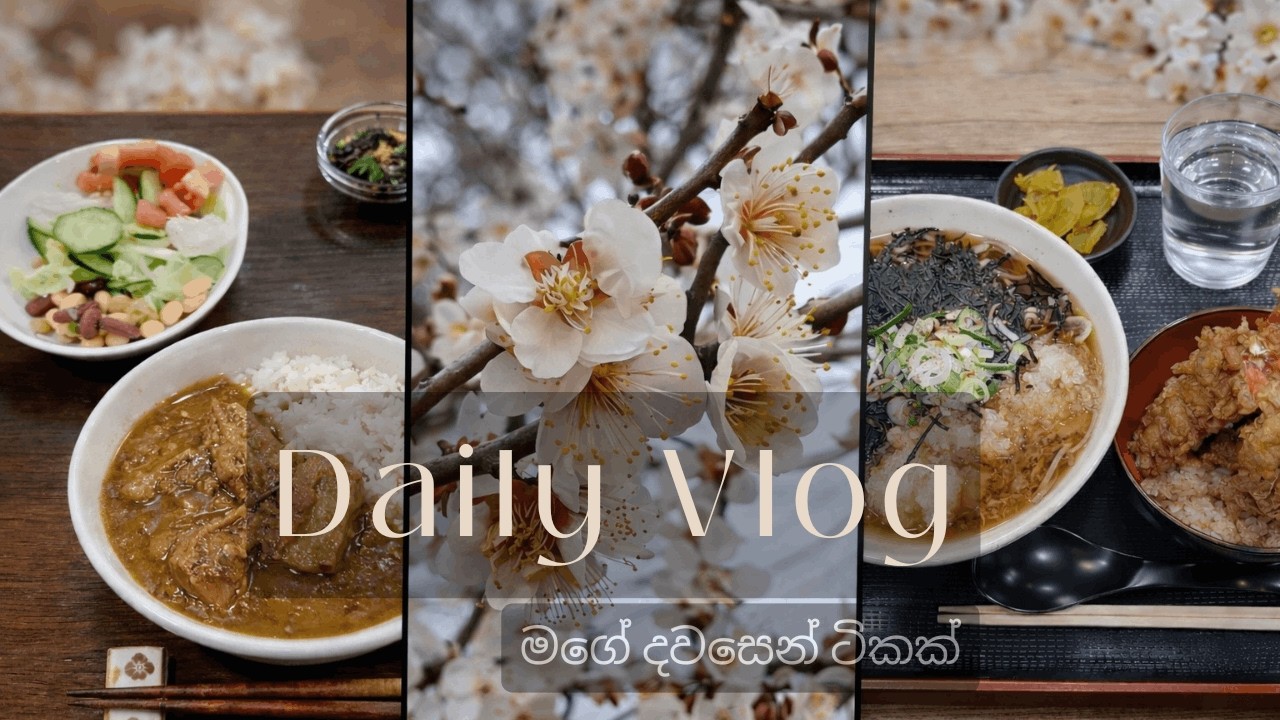 A Day in My Life as a Housewife in Japan| මගේ දවසෙන් ටිකක්