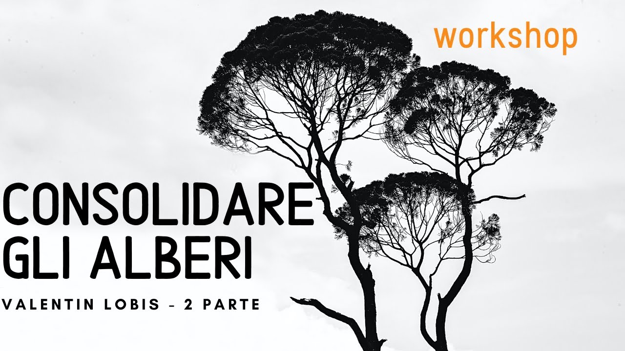 Alberi: cablaggio / consolidamenti - Valentin Lobis workshop - 2 parte