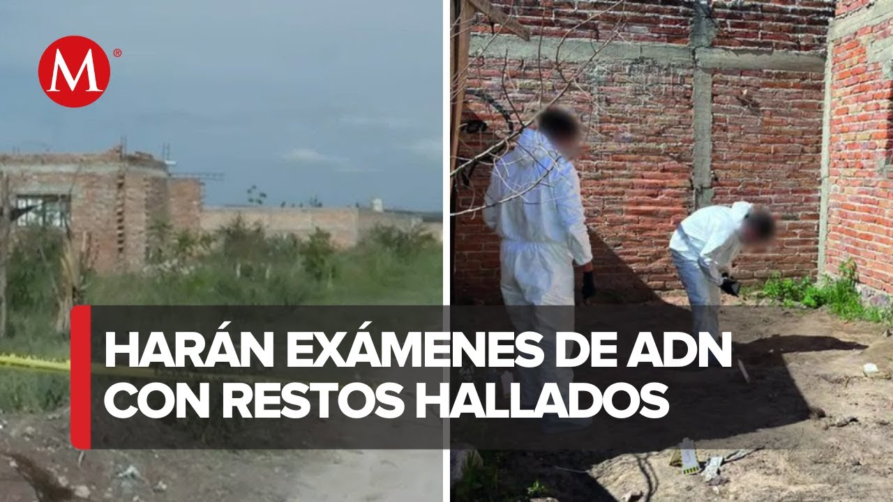 ¿Qué se sabe tras el hallazgo de restos humanos de Lagos de Moreno?