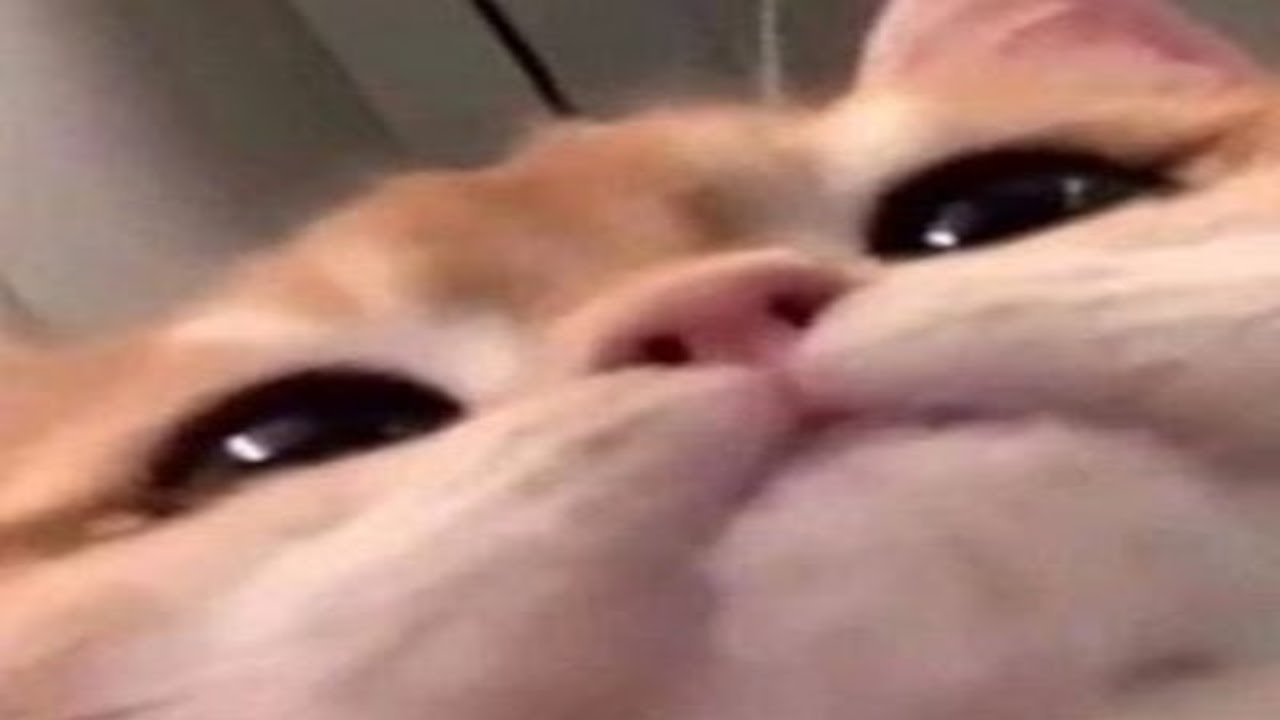 First Stream ever
