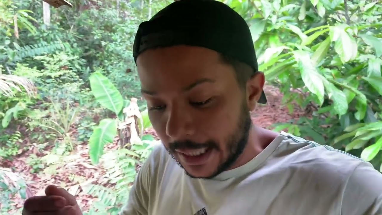 VEJA isso antes de CRIAR LARVAS da Mosca soldado negro