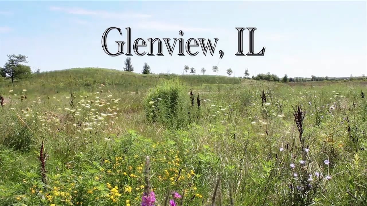 Greetings From Glenview