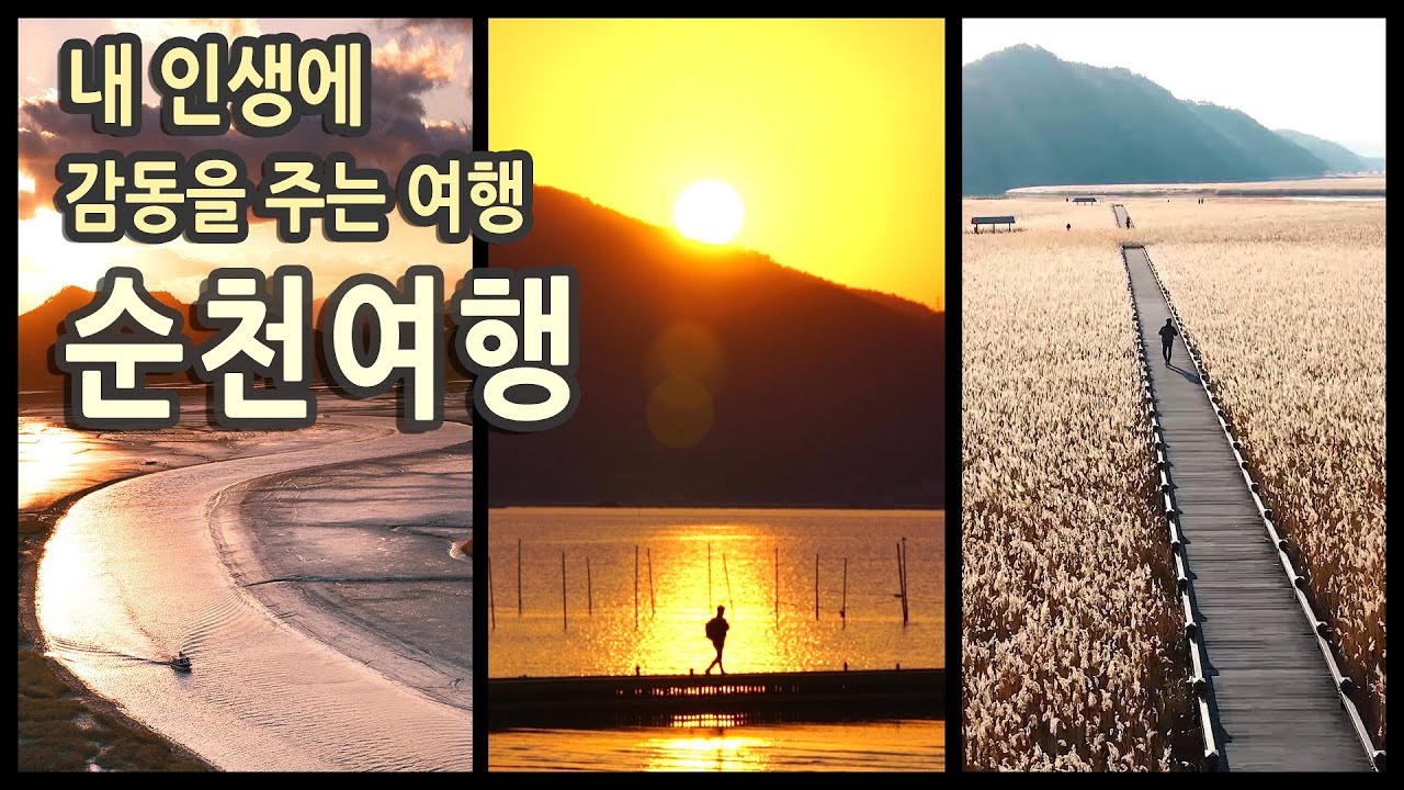 국내여행 다큐 전남 순천 여행 / 순천만 습지, 선암사, 송광사, 낙안읍성, 화포해변, 용산 전망대, 와온 해변 / 국내여행지추천, 여행유튜버, 국내여행지 추천, 순천 여행코스