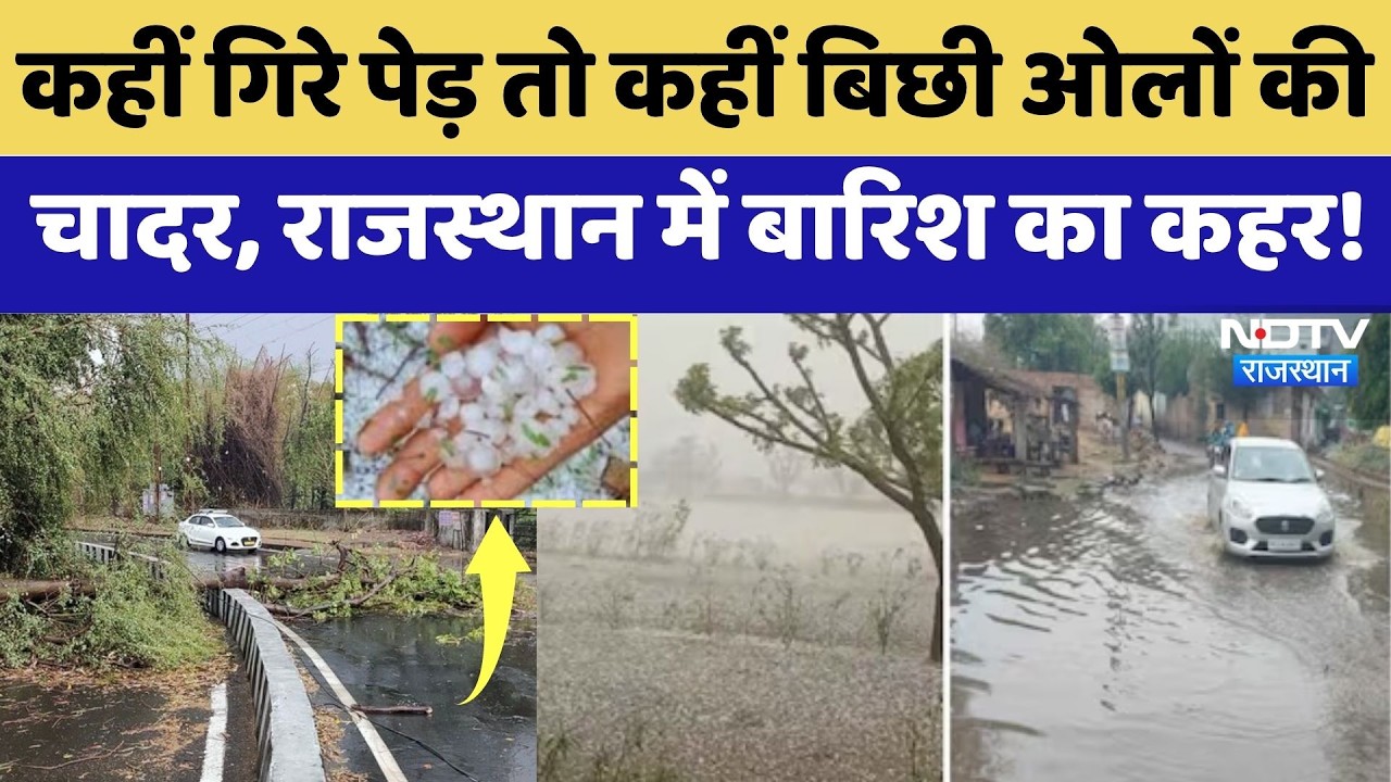 Heavy Rainfall: Rain wreaks havoc from Jaipur to Rajsamand! | Crop Damage | Top News | Latest News
