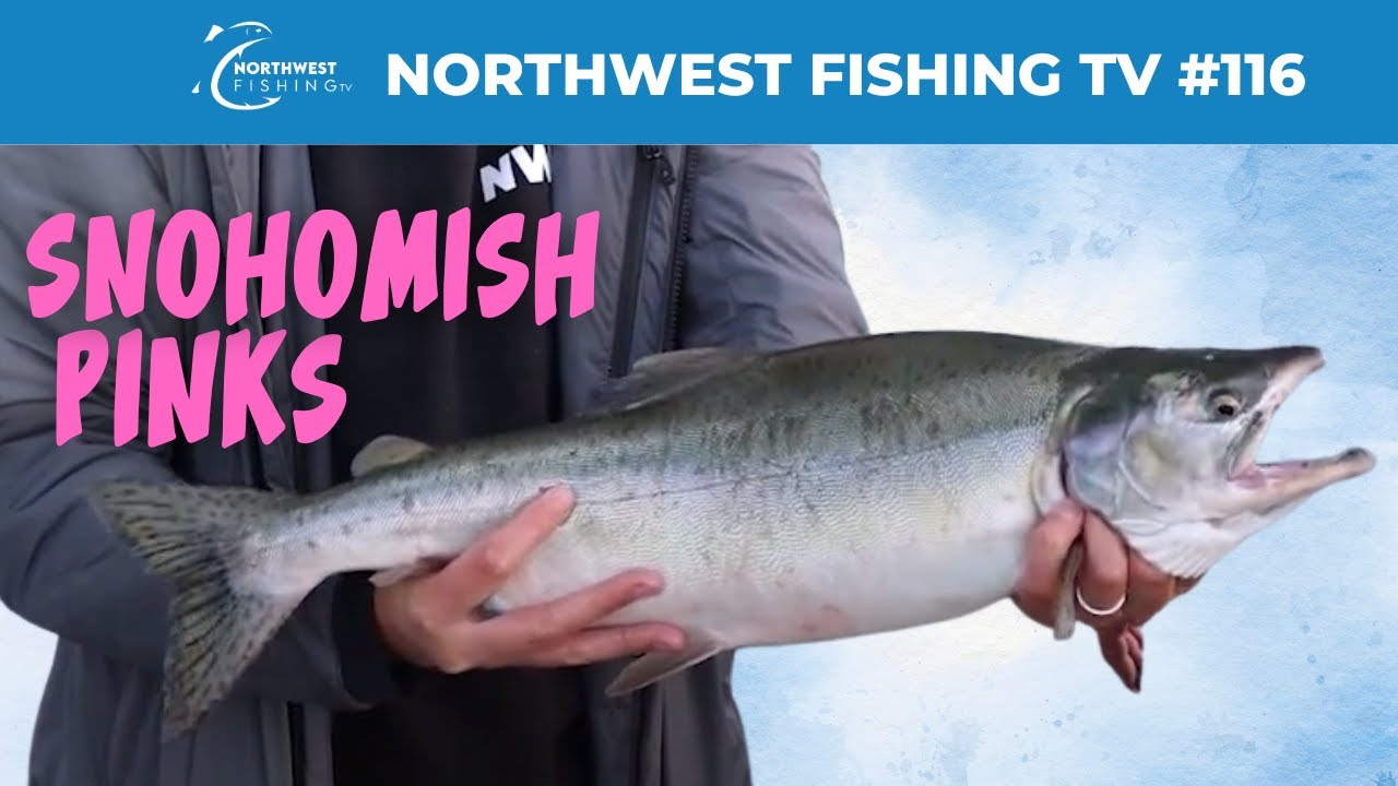Snohomish River Pinks | Northwest Fishing TV #116