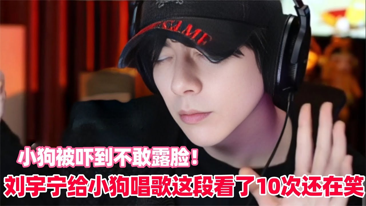 刘宇宁居然给小狗写歌作曲！呆米被吓得不敢出镜，还在新地毯上拉尿！#刘宇宁 #刘宇宁直播 #liuyuning #音乐缘计划2 #折腰