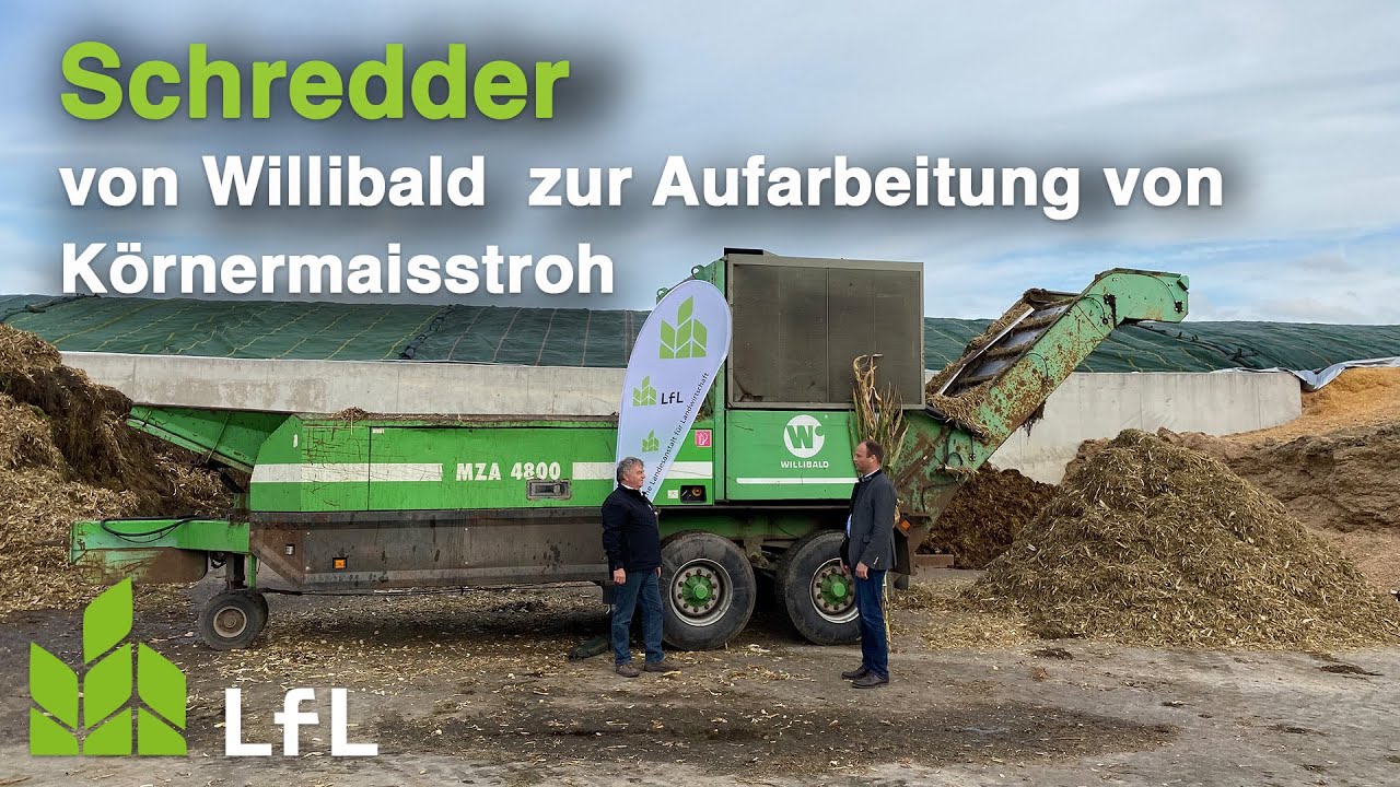 Der Willibald Schredder zur Aufbereitung von Körnermaisstroh