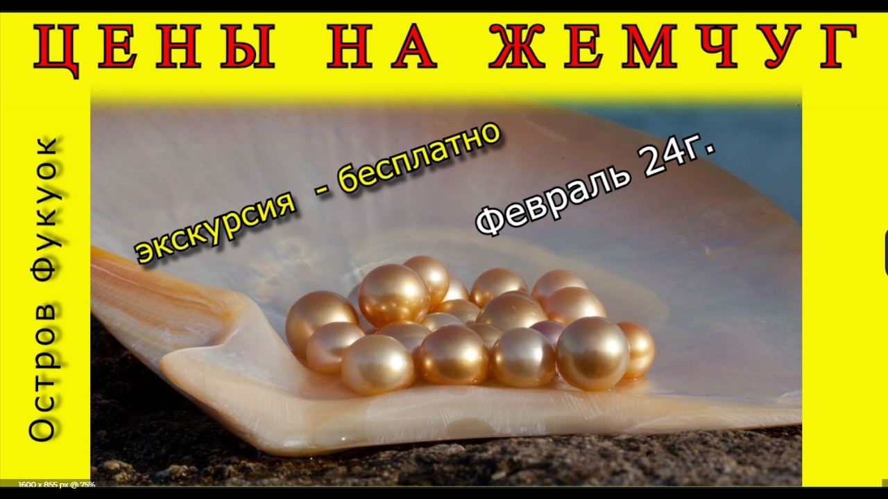 Обзор жемчужной фабрики и цены на жемчуг