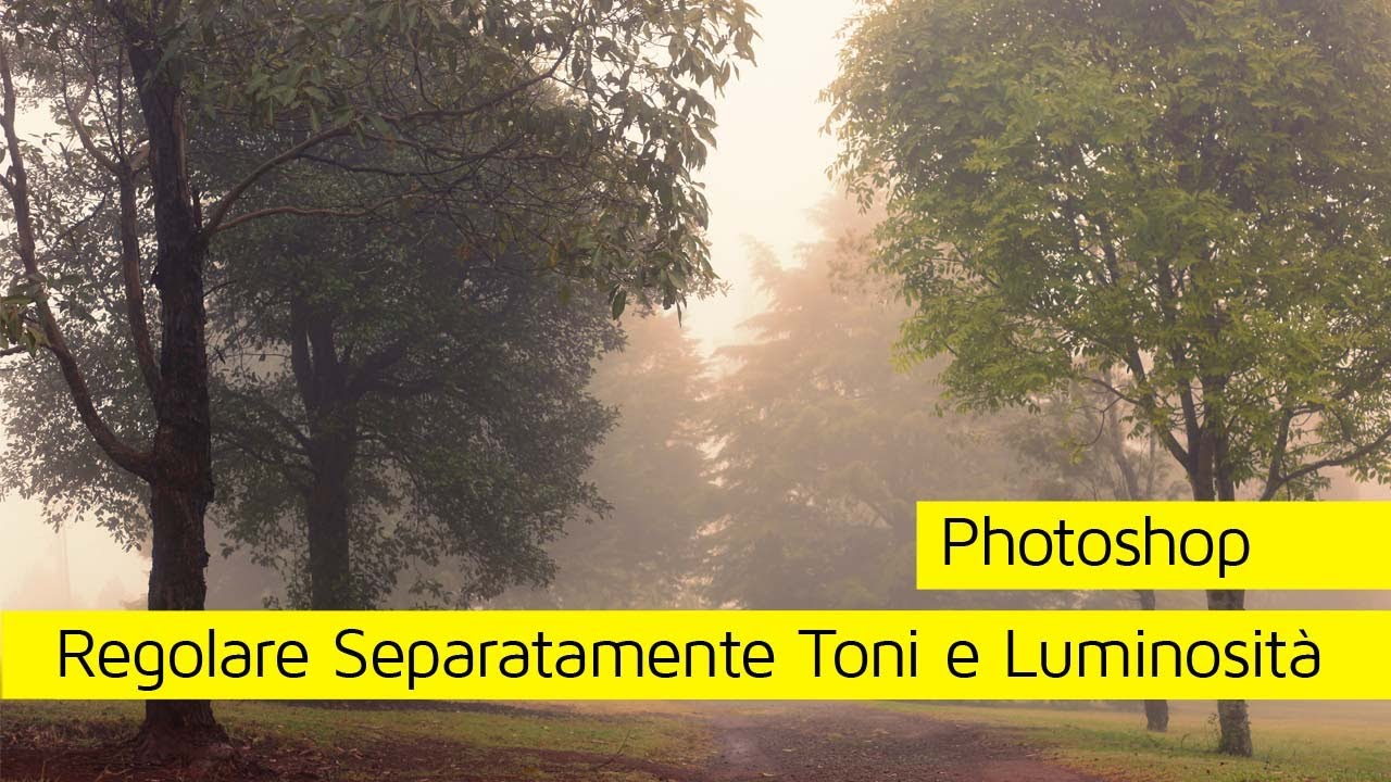 Photoshop Regolare Separatamente i Toni dalla Luminosità