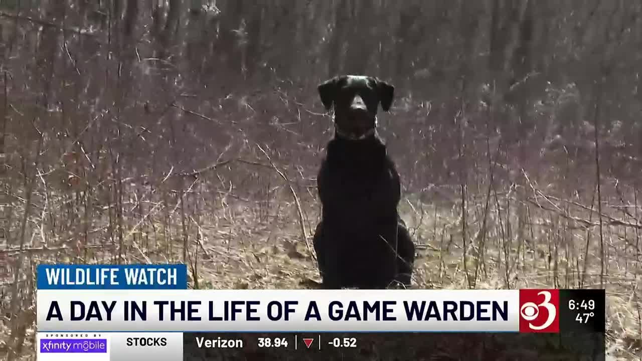 Wildlife Watch: A day in the life of a Vermont game warden