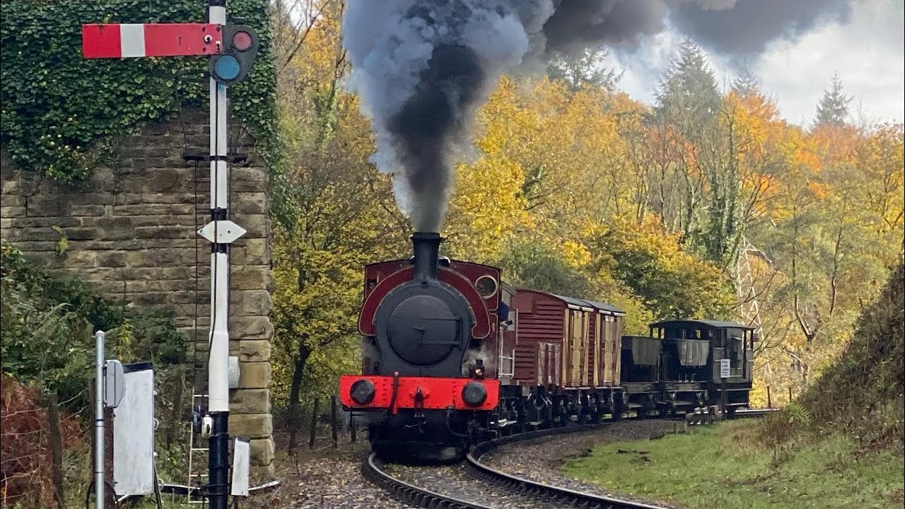 Dean Forest Railway - Royal Forest of Steam Gala - 01/11/2025