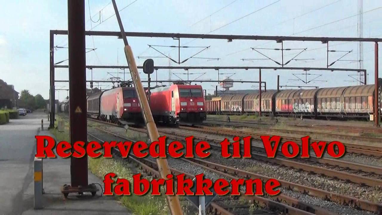Real Trains: Padborg 1/9-2016 massere af tyske tog