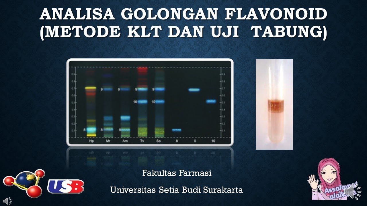 Analisa Flavonoid dg Baku Rutin & Quercetin (KLT) | #universitassetiabudi