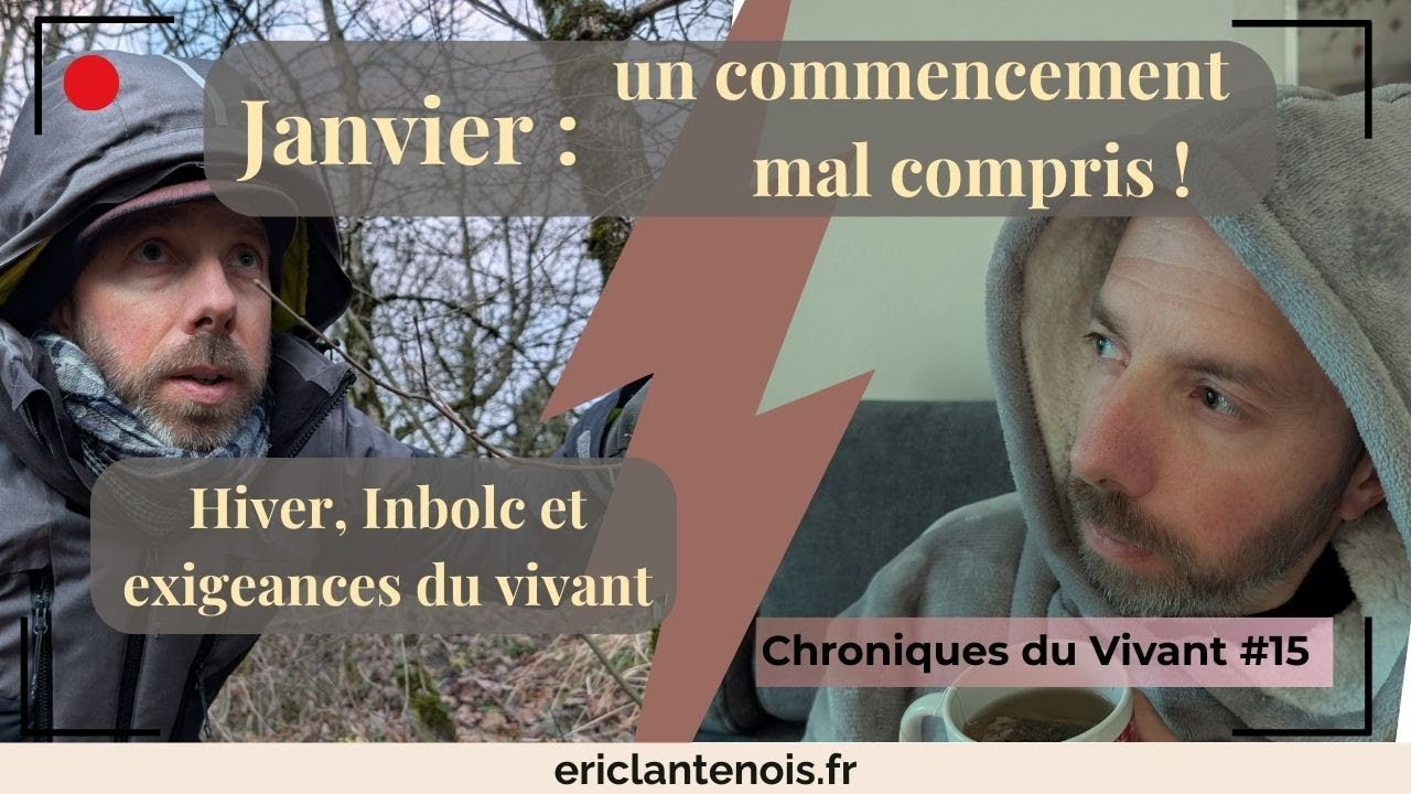Chronique du Vivant #15 - Janvier : un commencement mal compris | Du cœur de l’hiver à Imbolc