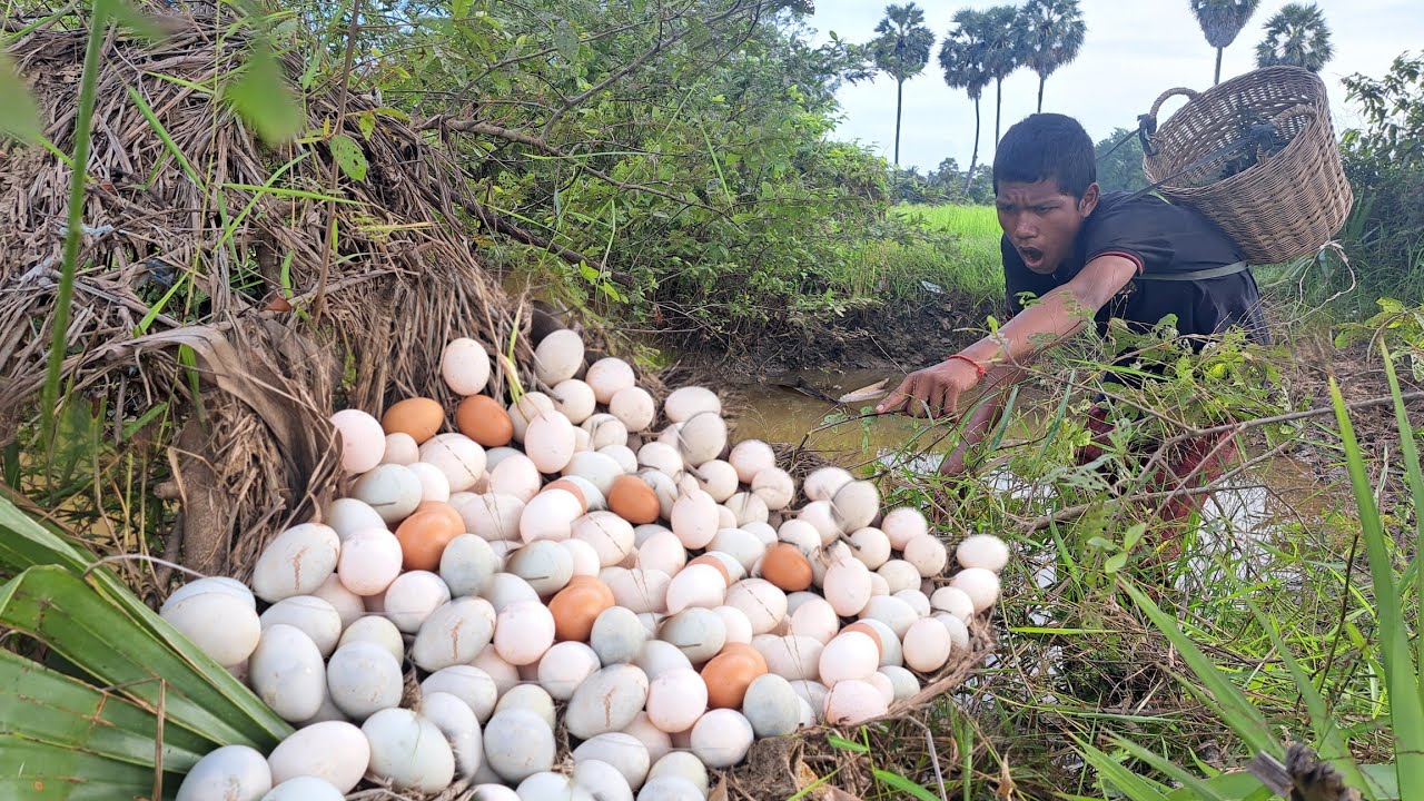 Top wow wow!  Collect as many eggs as you can in the ten bushes near the waterfront.