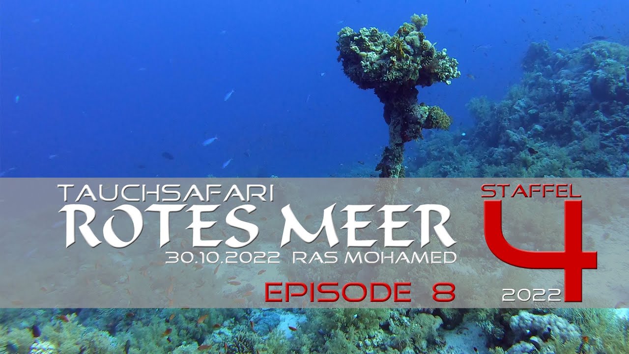 Ras Mohamed : Tauchsafari Rotes Meer - Staffel 4 - Episode 8 :  2022 : M/Y Blue